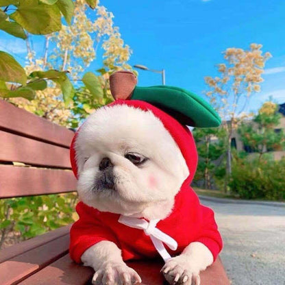 Cozy Love Sweater: Adorable Autumn And Winter Clothing For Small And Medium Dogs-5